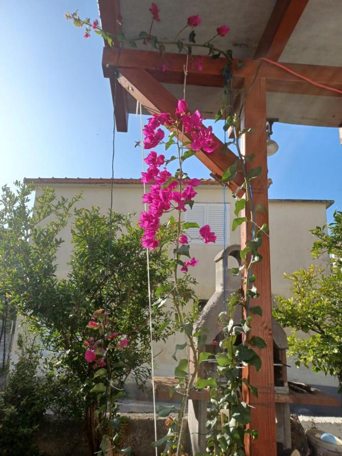 Makarska Apartment Drvenik (Split-Dalmatia)