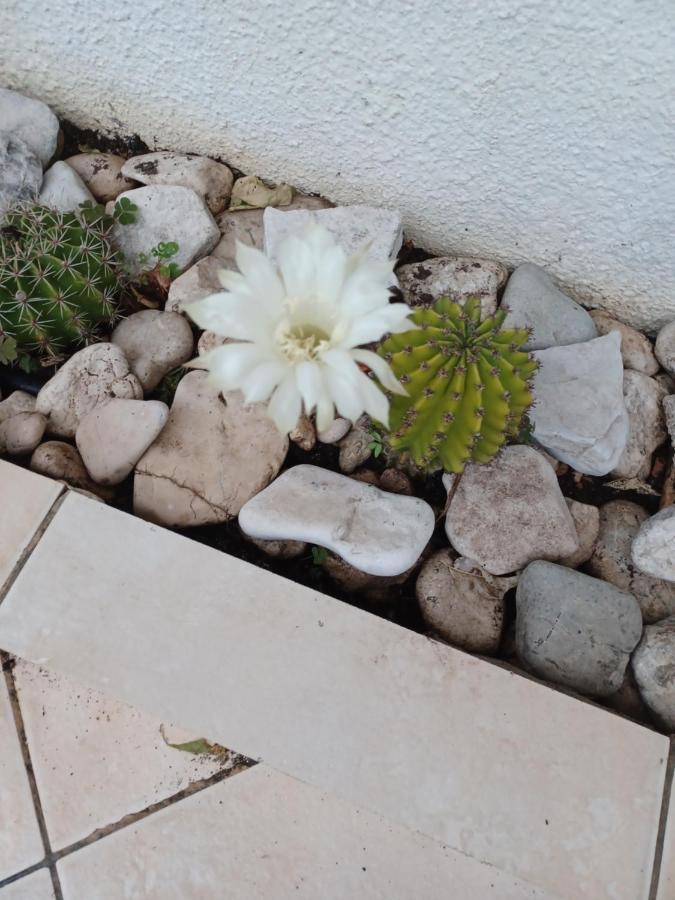 Apartment Makarska *